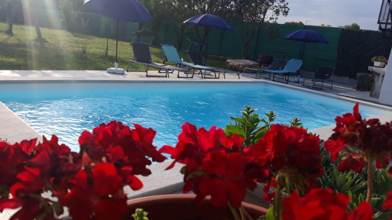 Holiday Home Dioniza Vodnjan Exterior photo