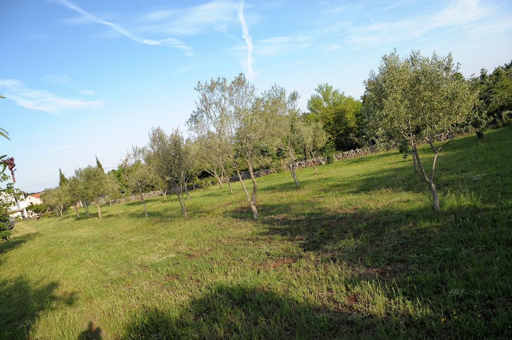 Holiday Home Dioniza Vodnjan Room photo